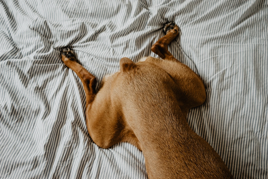 Photo sleeping position
