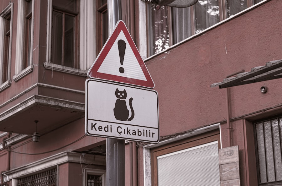 Photo attention
